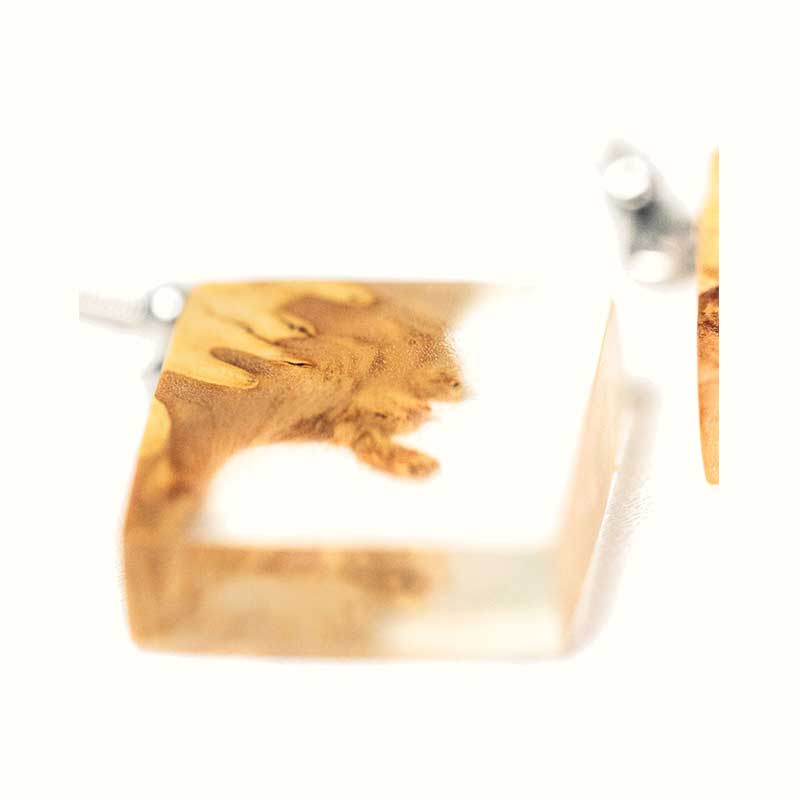Eucalyptus burl Earrings