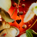 Pendentif en bois de padouk
